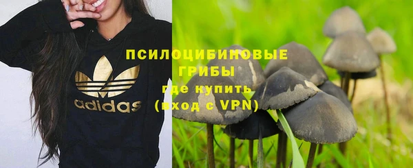 гашик Киреевск