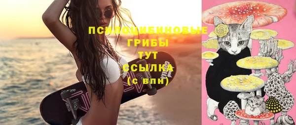 прущая мука Кинешма