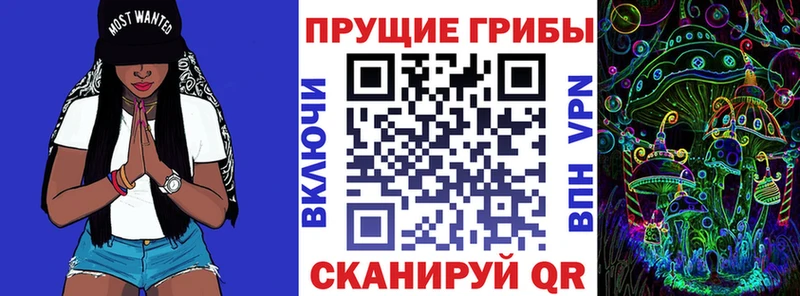 Купить где  Спасск-Рязанский  Галлюциногенные грибы Psilocybe 